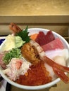 Tsukiji Kaisen Don [Rice bowl]